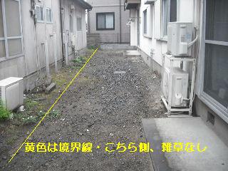 賃貸物件・定期管理_f0031037_22137100.jpg