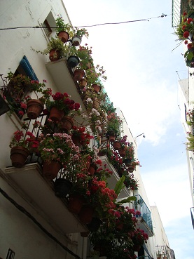 e0120938_22135027.jpg