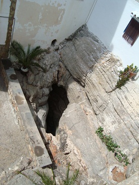 e0120938_2285764.jpg