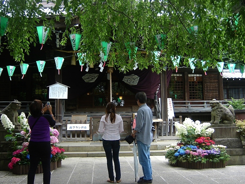 白山神社　紫陽花祭_e0034239_7272564.jpg