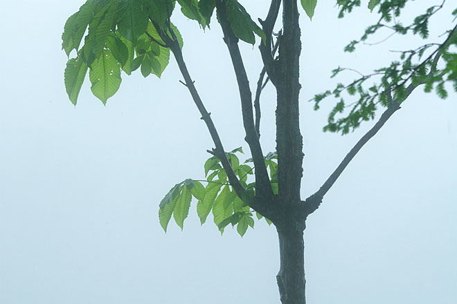 c0067040_215422100.jpg