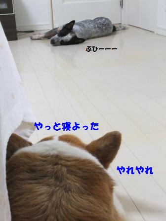 d0081541_08831.jpg