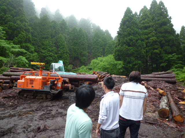 神奈川の山見学_f0070542_20372915.jpg