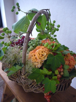e0100046_2117572.jpg