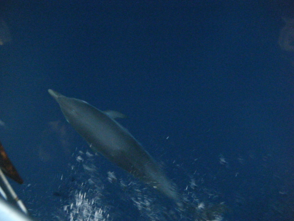 c0117848_52130.jpg
