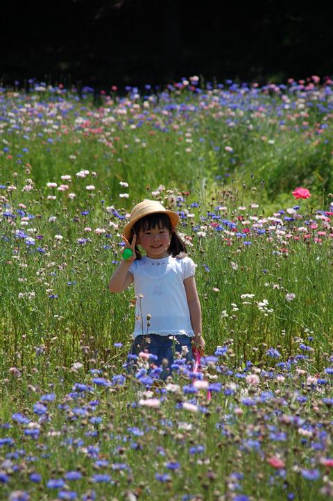 公園フォト集　その1_b0082358_22251758.jpg