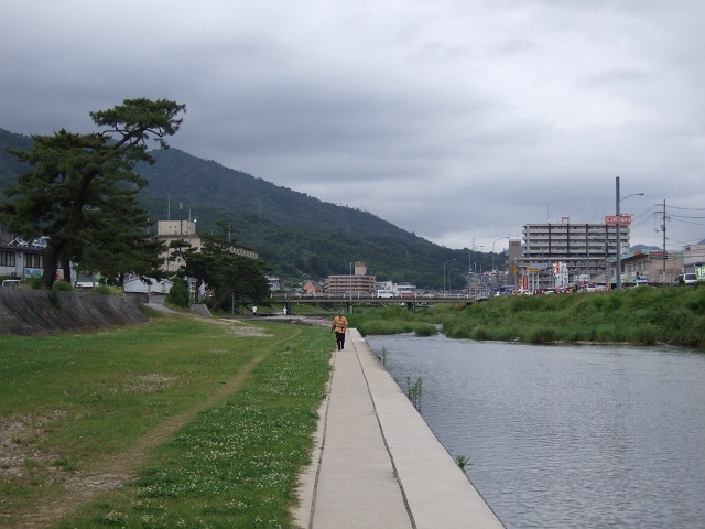 瀬野川河川敷を歩く・中野編　その9　中野1丁目　出迎えの松~井手橋 _b0095061_8165685.jpg