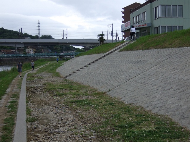 瀬野川河川敷を歩く・中野編　その9　中野1丁目　出迎えの松~井手橋 _b0095061_820347.jpg