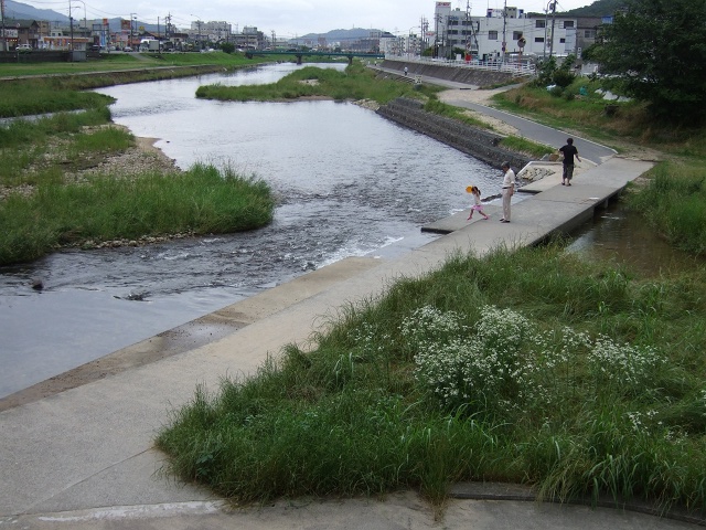 b0095061_8361422.jpg
