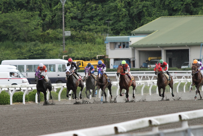 2010年6月19日（土） 高知競馬 2R C3-5_a0077663_19422889.jpg