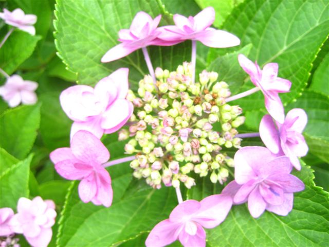 a0123465_0181091.jpg