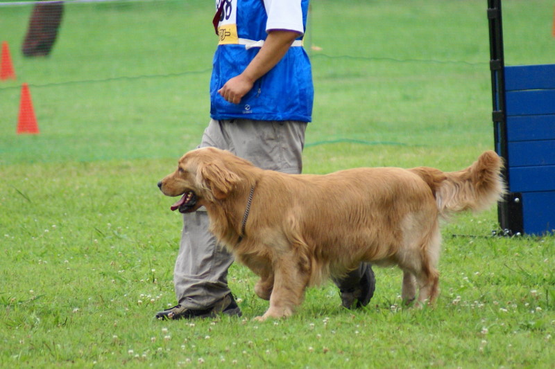 e0019967_01413.jpg