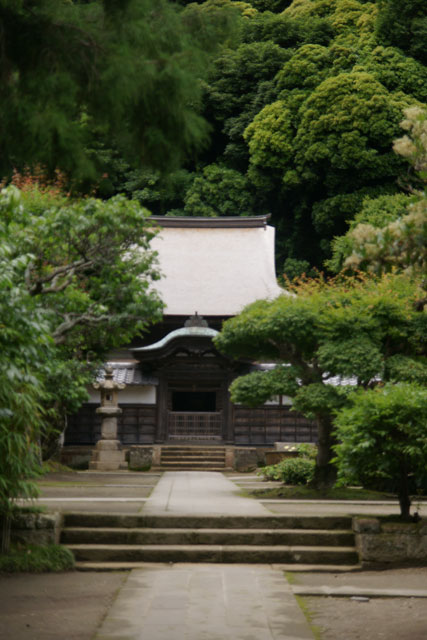 円覚寺_e0121470_23231374.jpg