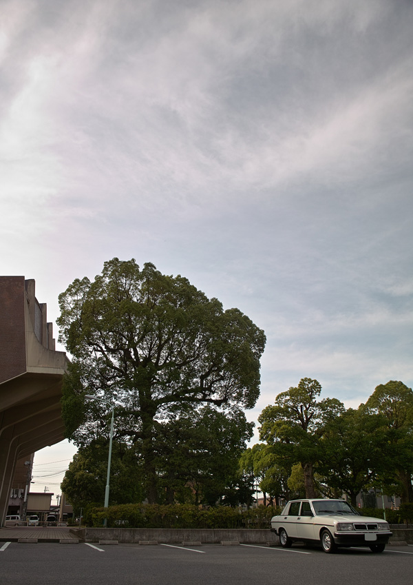 d0141173_623479.jpg
