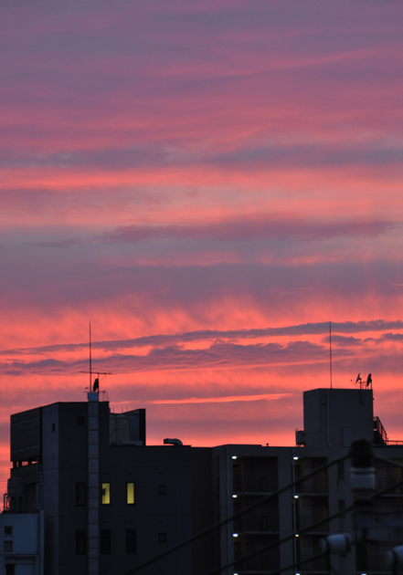 夕焼け空_e0171573_23375032.jpg