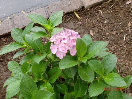 c0215176_1244372.jpg