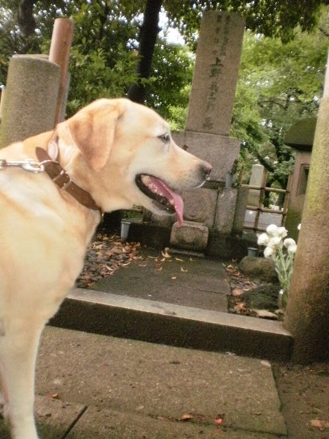 f0052277_222128.jpg