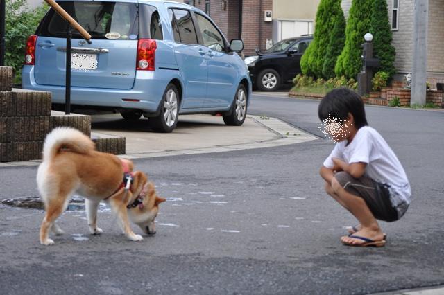 橋の上でたたずんで_a0126590_23351525.jpg