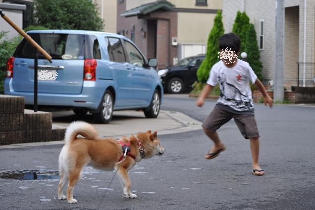 橋の上でたたずんで_a0126590_23454483.jpg