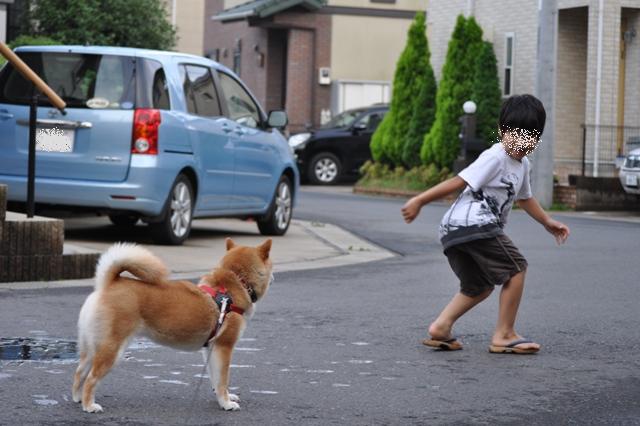橋の上でたたずんで_a0126590_23455778.jpg