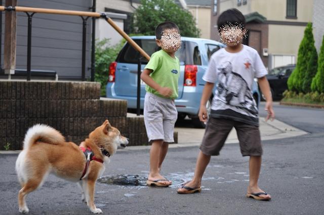 橋の上でたたずんで_a0126590_2346737.jpg