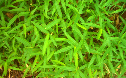 b0099994_858430.jpg