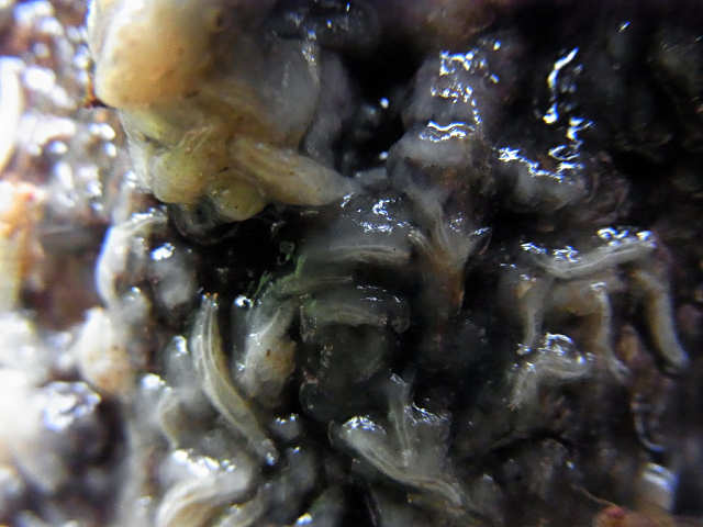f0204094_23504524.jpg