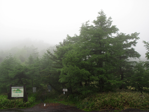 恵みの雨_e0120896_6301533.jpg