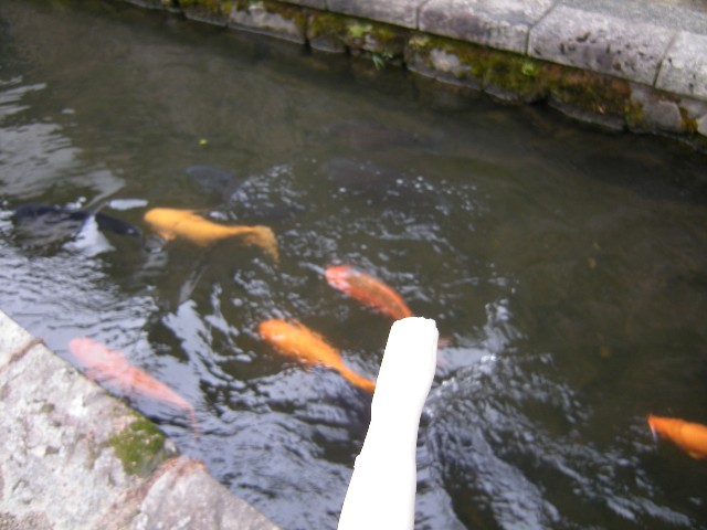 b0138798_11244682.jpg