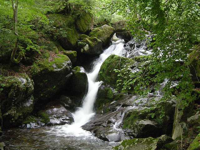 b0138798_11435848.jpg