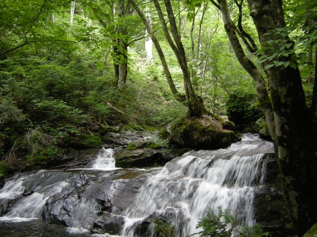 b0138798_11452289.jpg