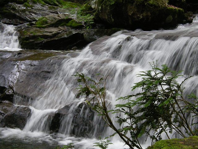 b0138798_114584.jpg