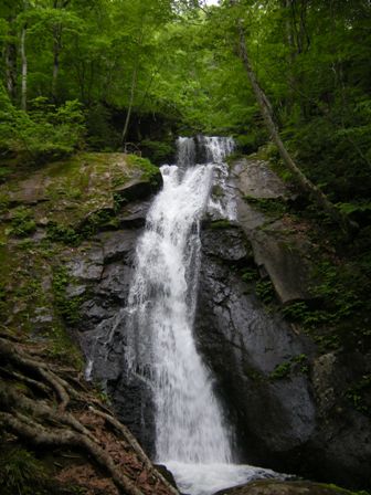 b0138798_11482865.jpg