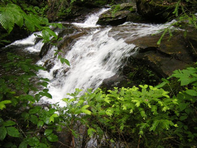 b0138798_1149230.jpg