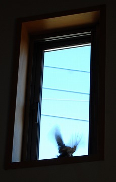 c0124100_22312145.jpg