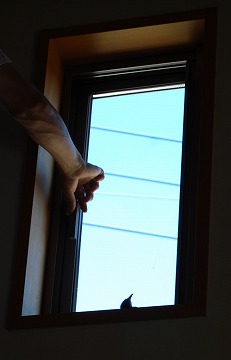 c0124100_22313239.jpg