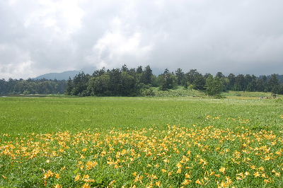 a0158702_1544348.jpg
