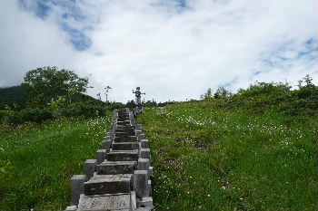a0158702_16292155.jpg