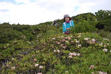 a0158702_171491.jpg