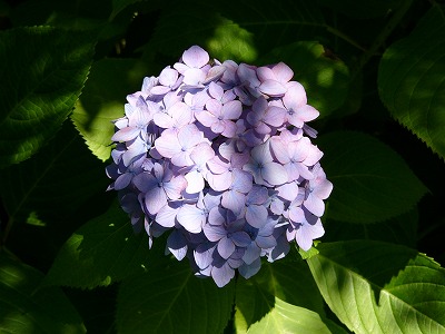 a0123003_15121465.jpg