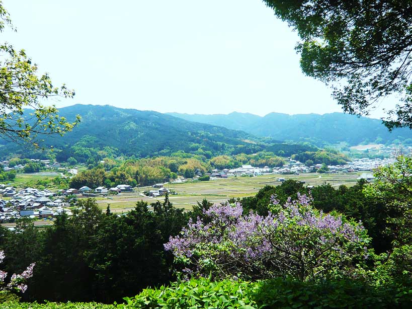 奈良の明日香村 de サイクリング _c0191808_082882.jpg