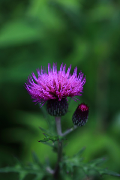 d0036708_21255561.jpg