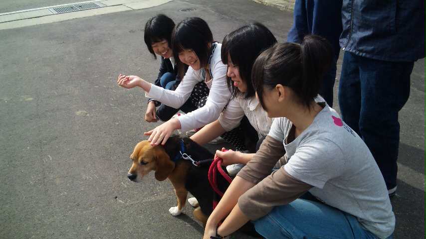 花職産地見学会_d0099708_925107.jpg