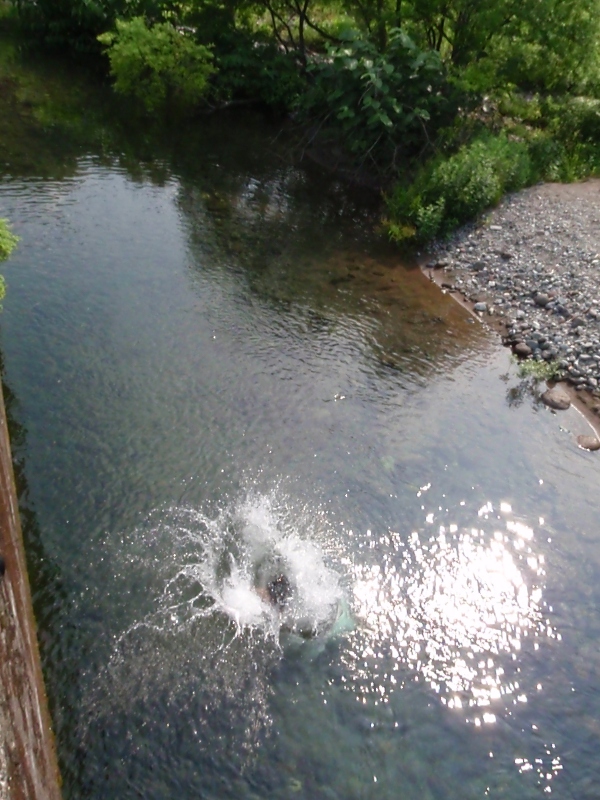 c0209409_21132268.jpg