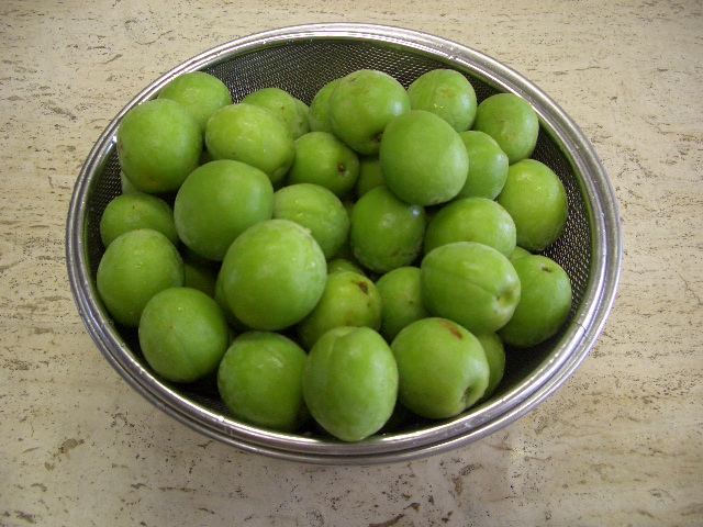 c0116610_14251667.jpg