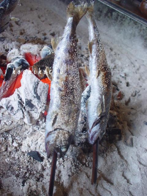 f0151213_11573264.jpg