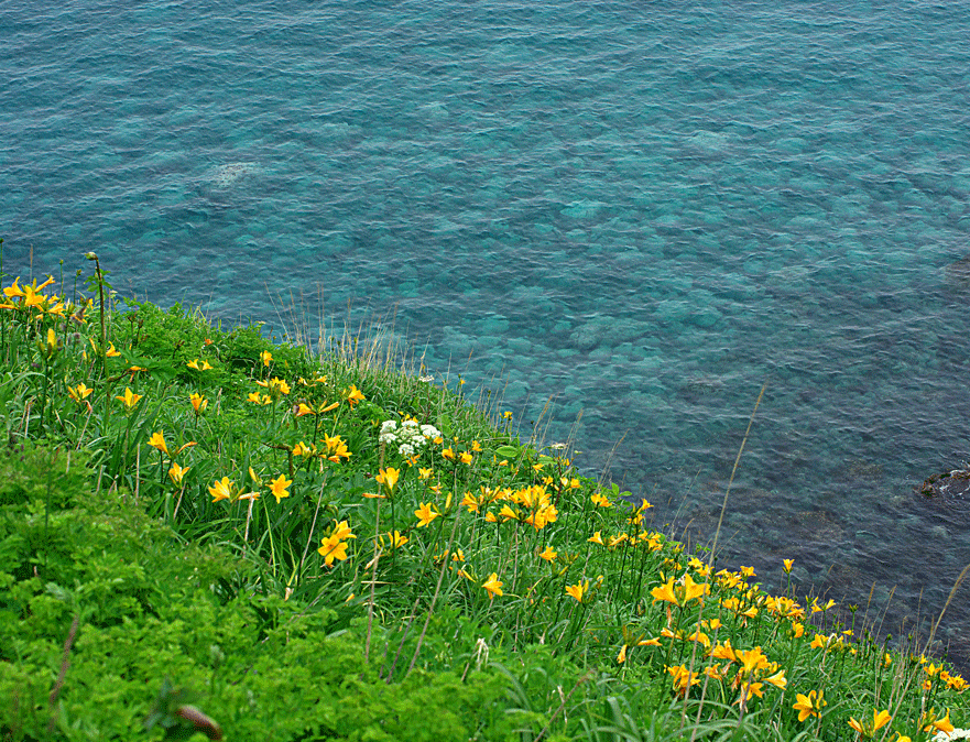 神威岬・絶壁にそびえる女人禁制の地に立つ灯台_c0223825_1385369.gif