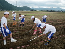 北新庄小学校3年生の子供達が大豆の種蒔きをしました_e0061225_10415937.jpg