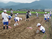 北新庄小学校3年生の子供達が大豆の種蒔きをしました_e0061225_1045865.jpg