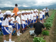 北新庄小学校3年生の子供達が大豆の種蒔きをしました_e0061225_10493917.jpg